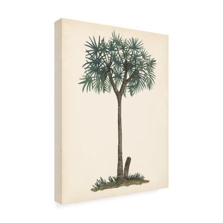Trademark Fine Art Melissa Wang 'Palm Tree Study III' Canvas Art, 18x24 WAG14727-C1824GG